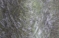 Nether Alderley fibreglass roof work